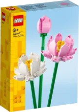 40647 Lootoseõied V29