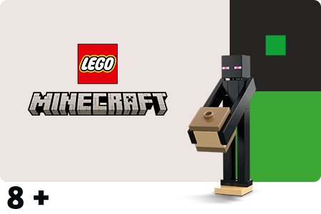 LEGO Minecraft™