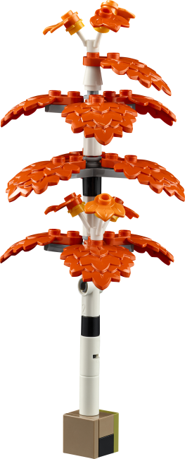 11372 Rudens kotedžas dārzs