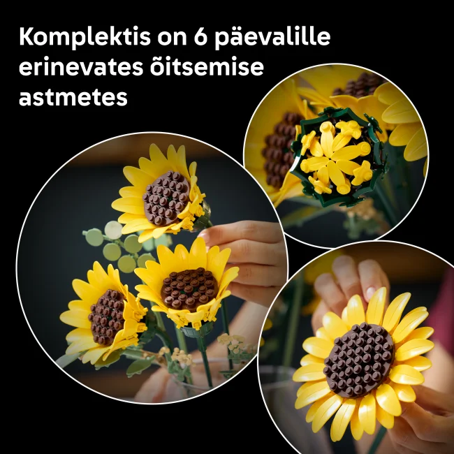 11502 Saulespuķu pušķis