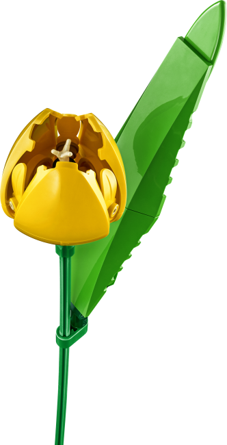 11501 Букет тюльпанов