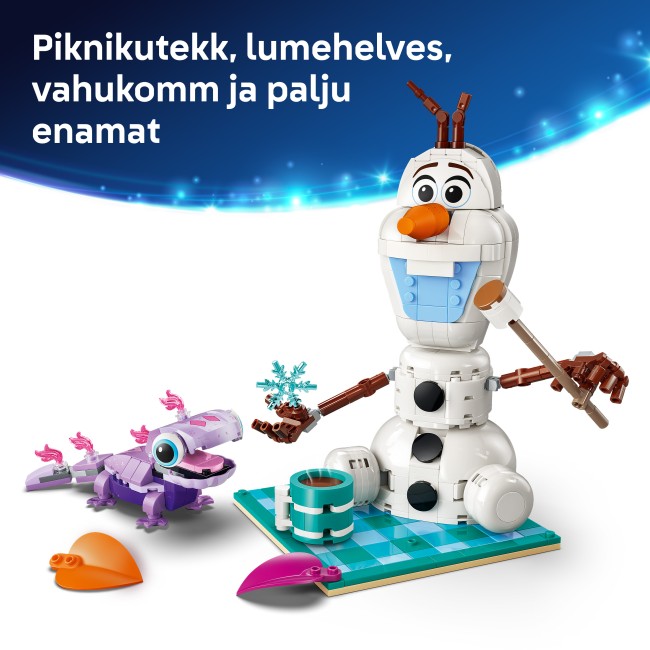 43287 Olafa un Bruni piknika jautrība