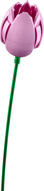 11501 Букет тюльпанов