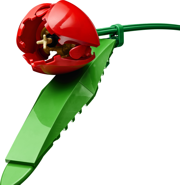 11501 Букет тюльпанов