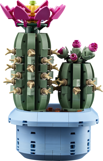 11509 Цветущий кактус