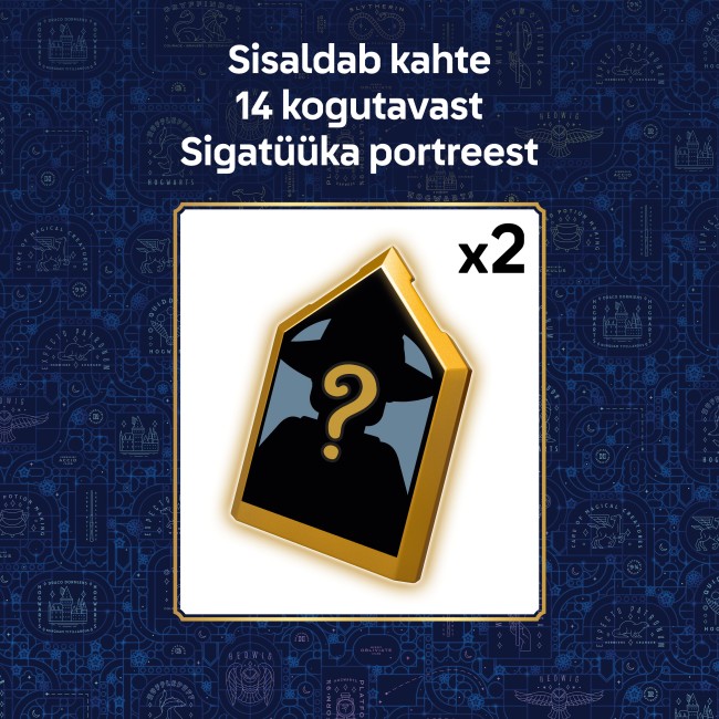 76463 Tylypahkan linna: Sairaalasiipi