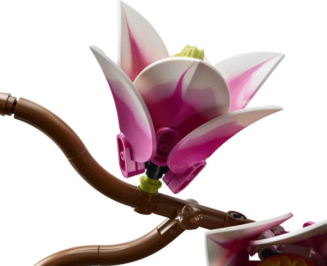 11510 Magnolian oksat