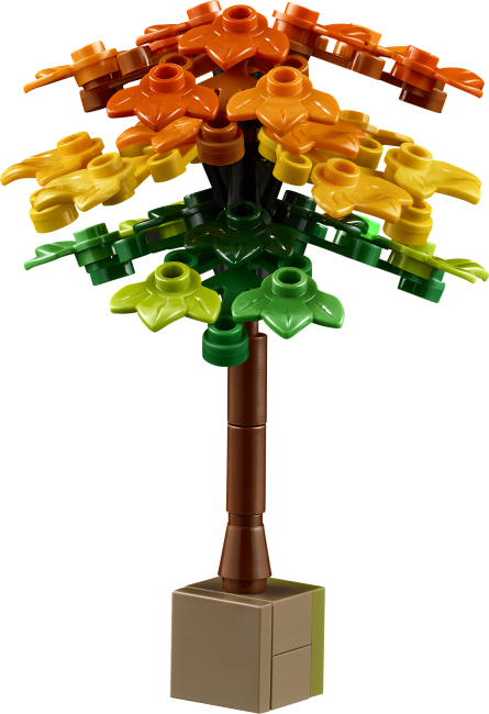 11372 Rudens kotedžas dārzs