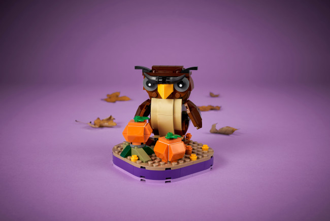 40497 Halloween‘i kakk