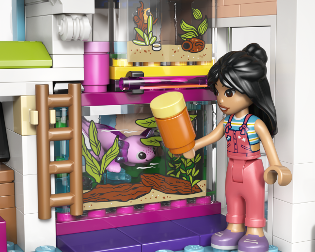 42687 Liannas ģimenes māja