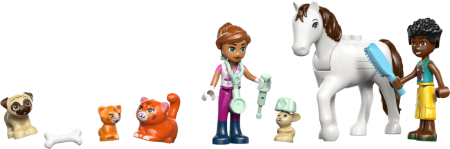 42696 Dzīvnieku veterinārā klīnika