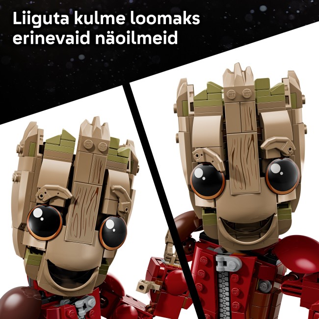 76341 Groot Ravager-asussa