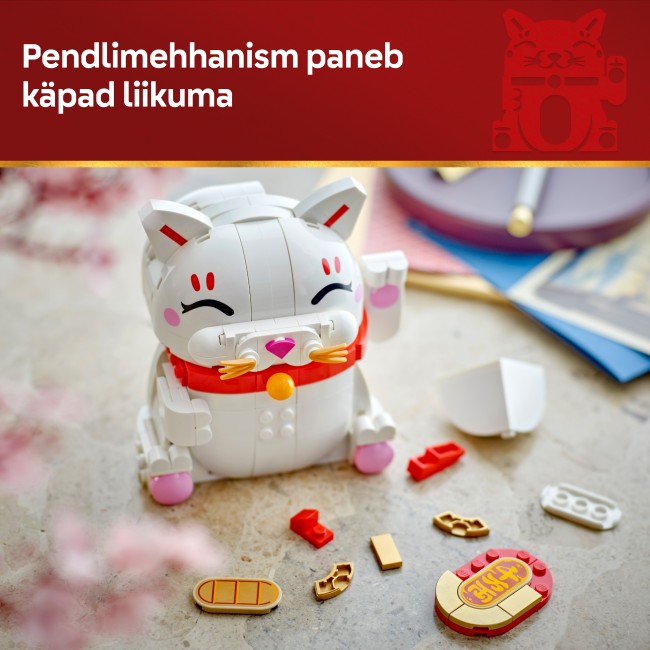 40813 Õnne toov kass