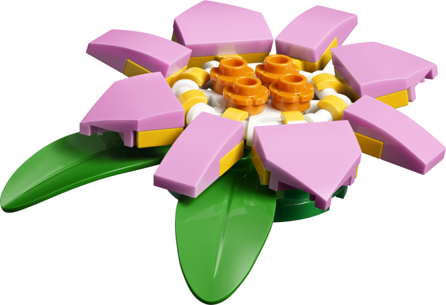 31377 Bruņurupucis ar ūdensrozes ziedu