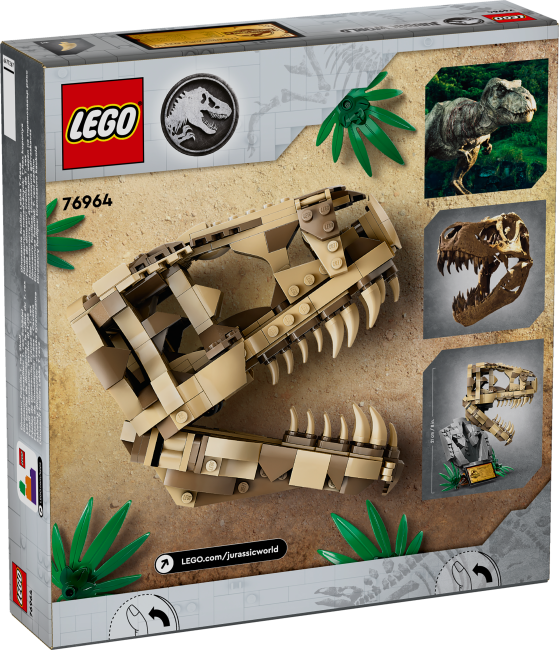 76964 Dinosauruse fossiilid: T. rexi pealuu