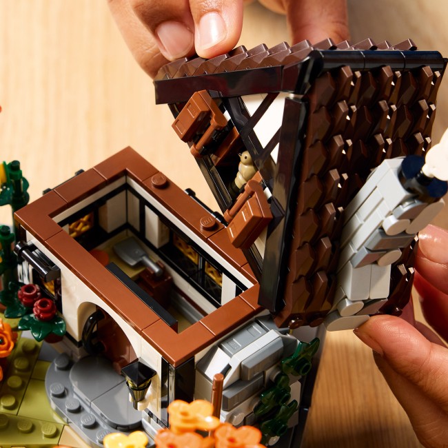 11372 Rudens kotedžas dārzs