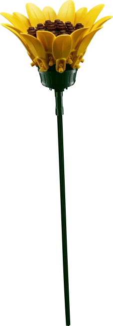 11502 Saulespuķu pušķis