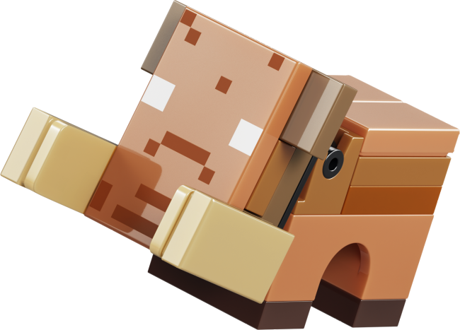 21584 Nether un End portālu ceļojums