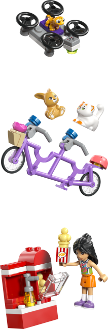 42689 Hārtleikas pilsētas draugu klubiņa māja