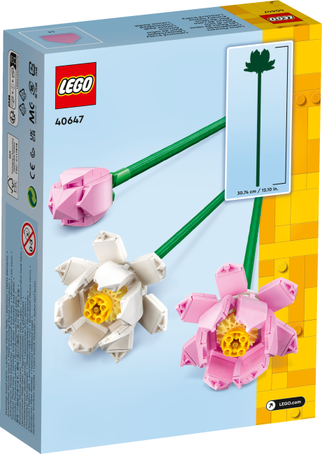 40647 Lootoseõied