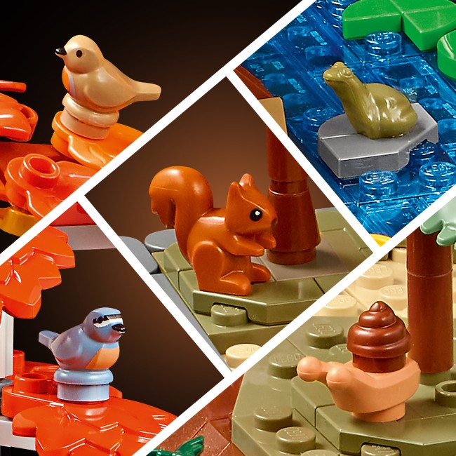 11372 Rudens kotedžas dārzs