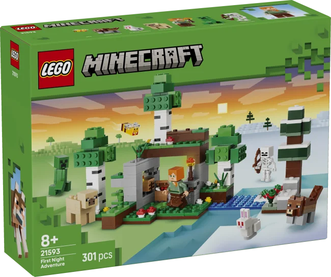 21593 Ensimmäisen yön seikkailu