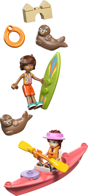 42699 Pludmales māja ar roņiem