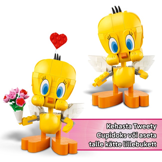 40824 Armastaja Tweety