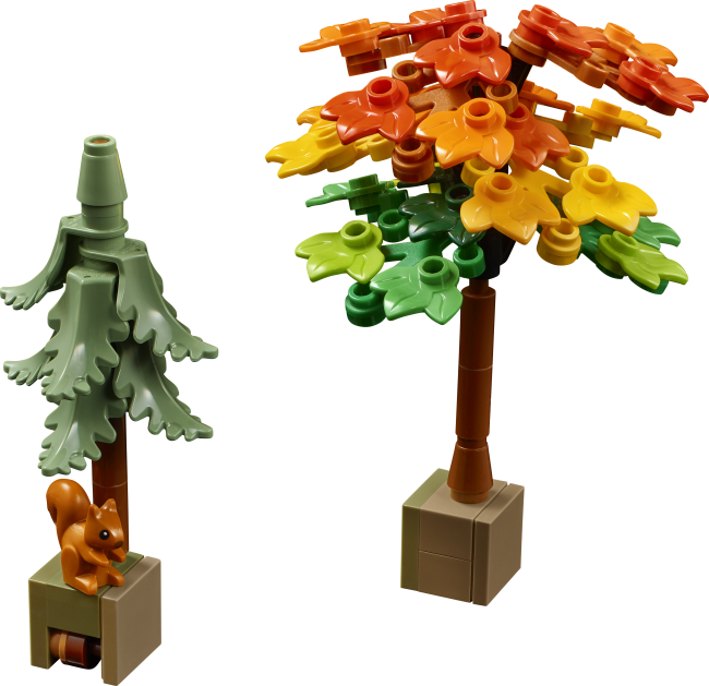 11372 Rudens kotedžas dārzs