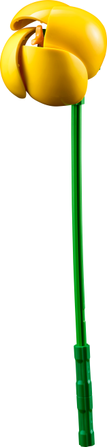 10347 Mazā saulainā buķete