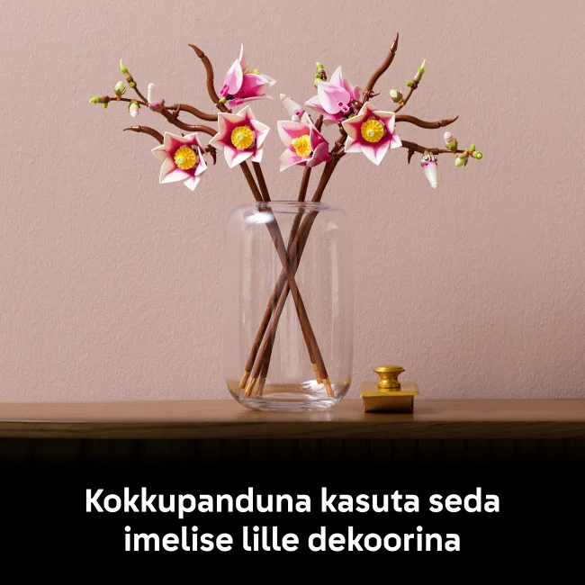 11510 Magnolian oksat