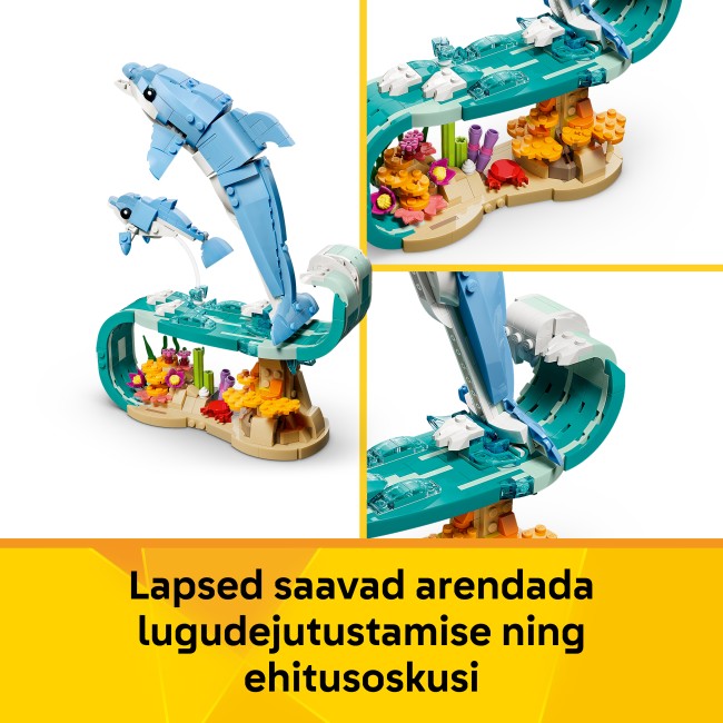 31385 Морские животные: красивые дельфины