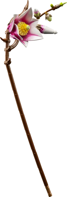 11510 Magnolian oksat