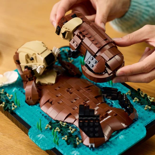 21366 Плавающие каланы