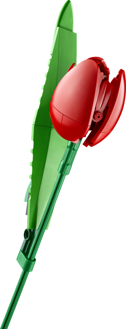 11501 Букет тюльпанов