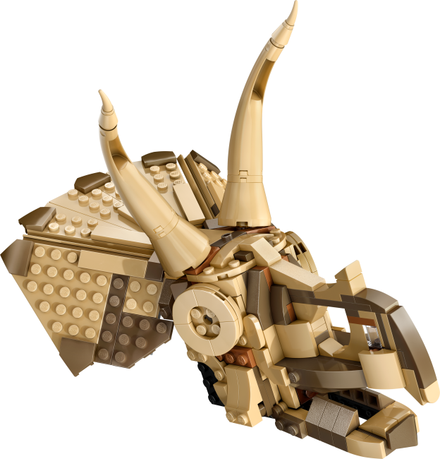 76969 Dinosaurusfossiilit: Triceratopsin kallo
