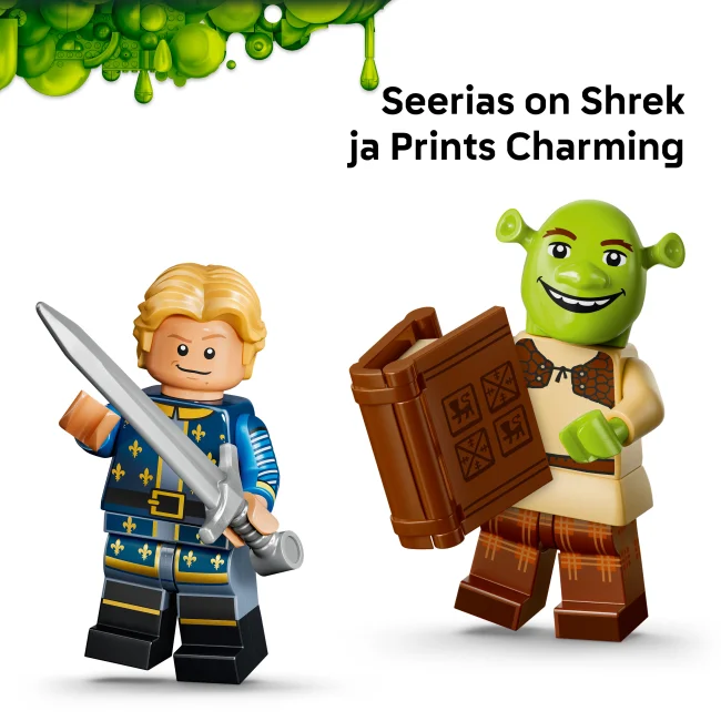 71053 Shreki sari