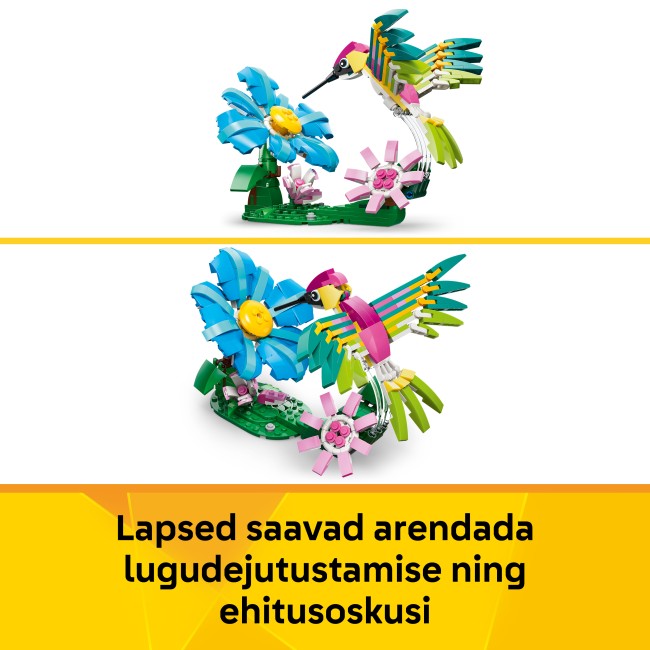 31384 Savvaļas dzīvnieki: Krāsainais kolibri