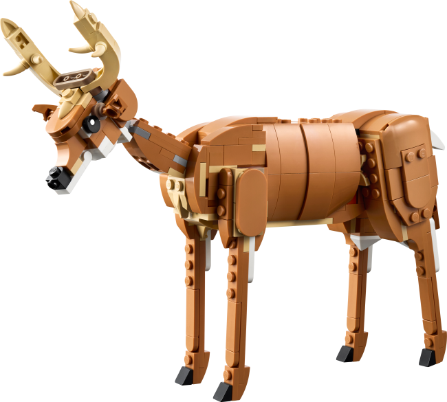 31166 Kaunis hobune