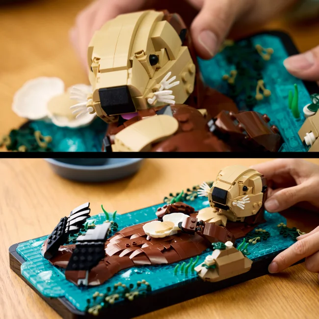 21366 Плавающие каланы