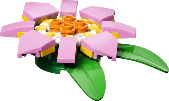 31377 Bruņurupucis ar ūdensrozes ziedu