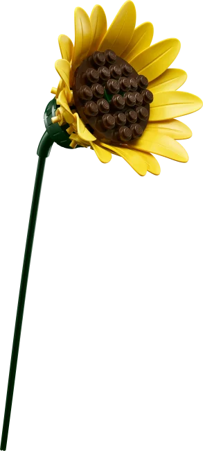 11502 Saulespuķu pušķis