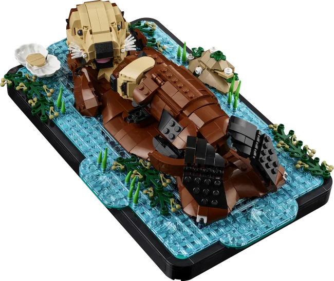 21366 Плавающие каланы