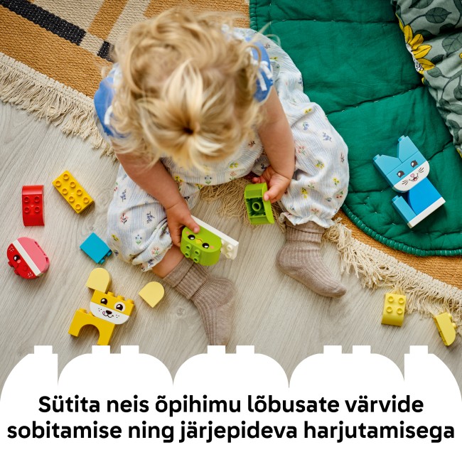 10477 “Trīs vienā” Radošie mīlīgie mājdzīvnieki