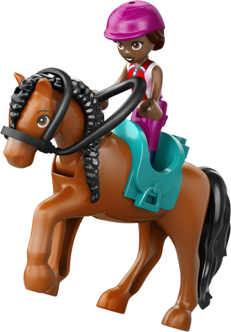 42688 Zirgu stallis un Izjāžu akadēmija