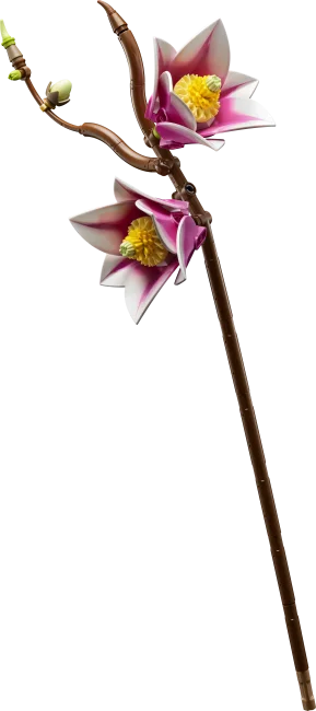 11510 Magnolian oksat