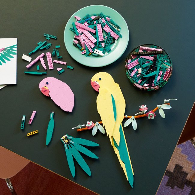 31211 The Fauna Collection – Arapapukaijat