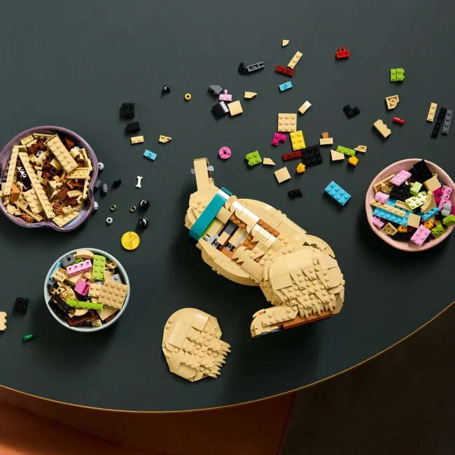 11384 Zelta retrīvera kucēns