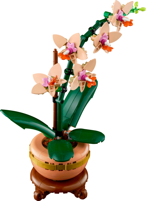 10343 Mini orhideja