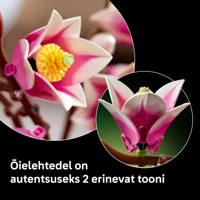 11510 Magnolian oksat